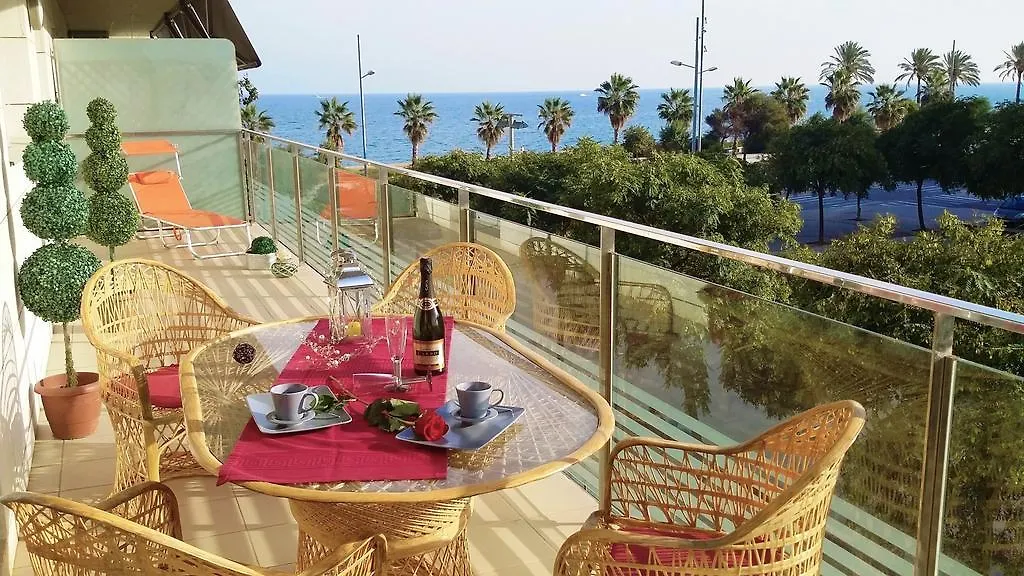 Alexandra\'S Beach-Port location